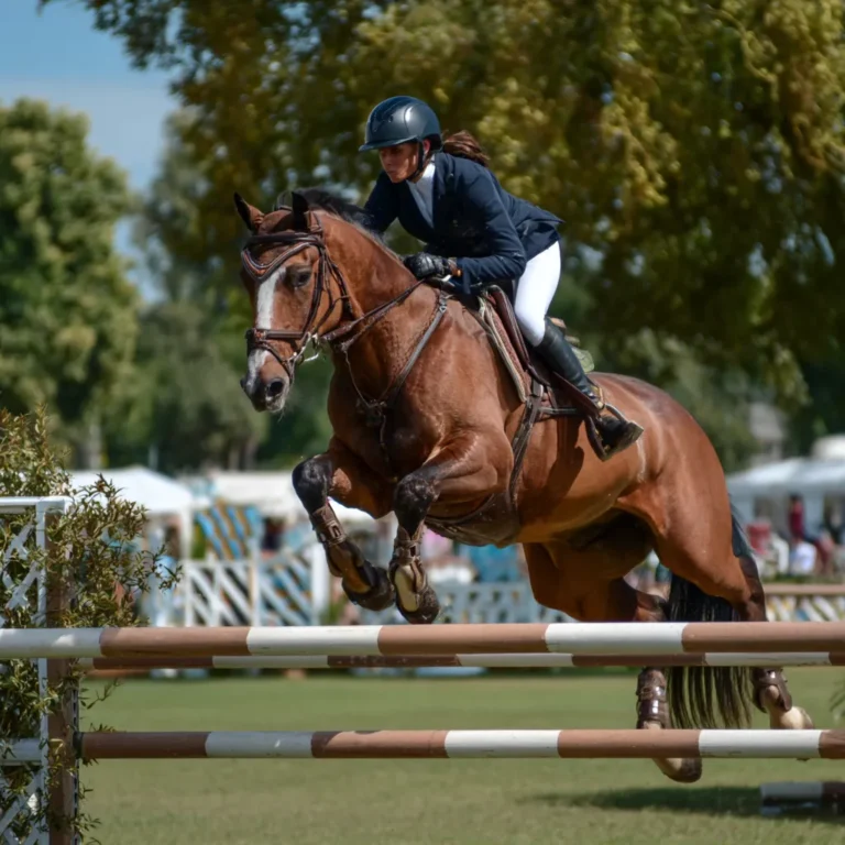 Saut d&rsquo;obstacles : découvrez l&rsquo;harmonie cavalier-cheval